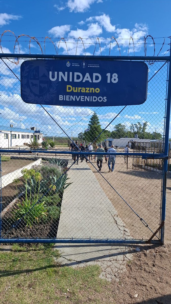 Mal Green tweet media