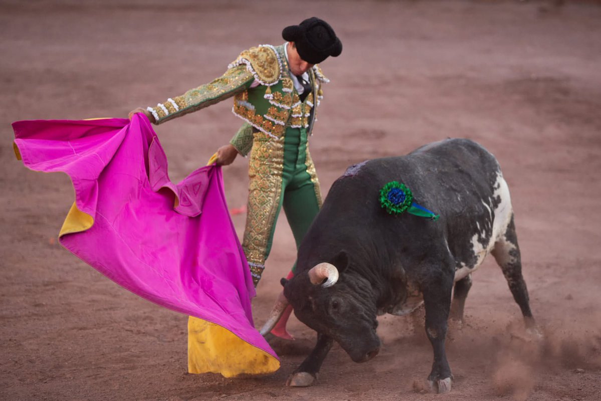 Vuelve Diego Silveti a la Plaza de Toros Lerdo 🔥

Este viernes en la corrida nocturna junto a Guillermo Hermoso de Mendoza 👊