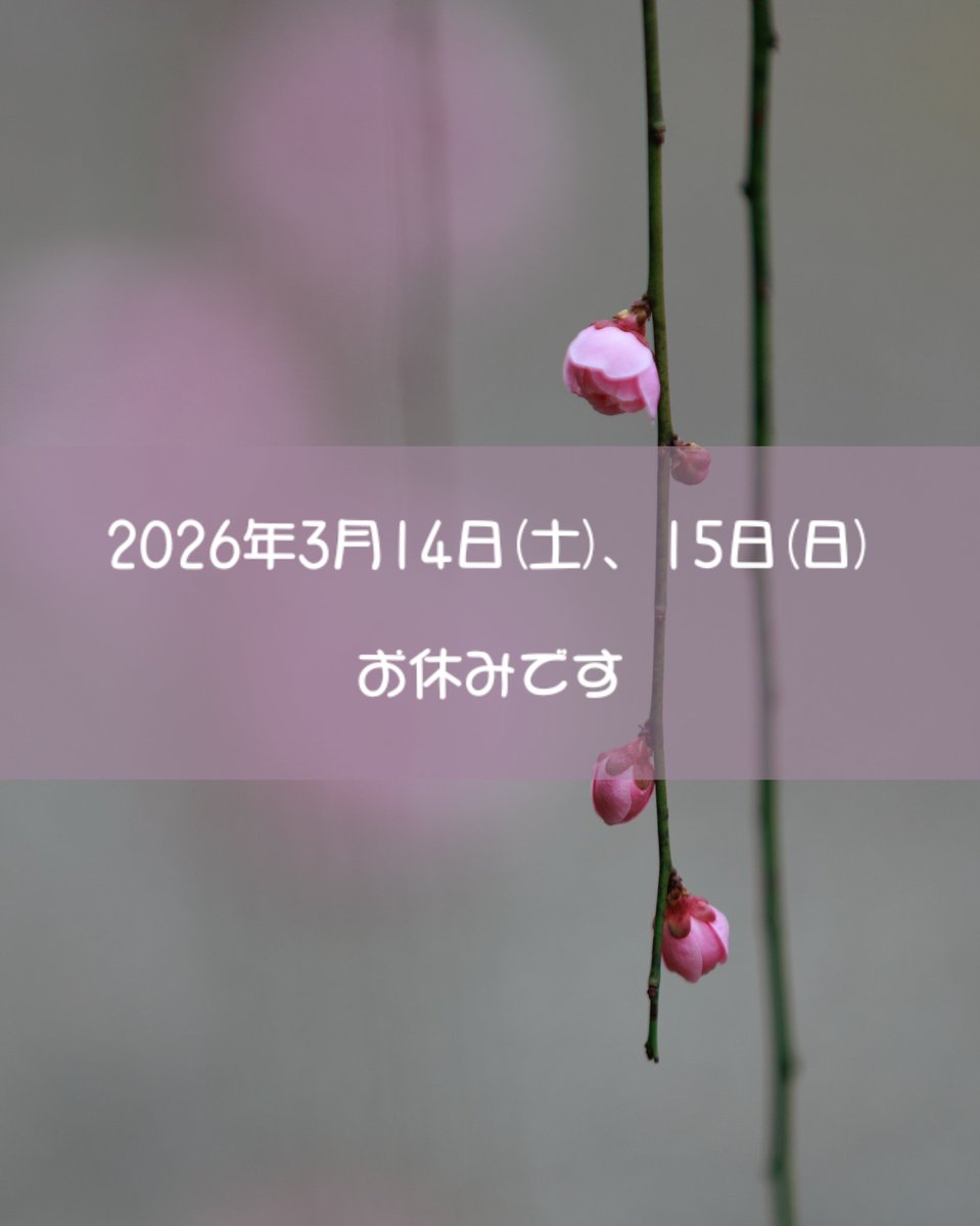 3月の営業予定でお知らせしております通り3月14日(土)、15日(日)はお休みです。

休業日はお問い合わせの対応もお休みさせていただきます。

よろしくお願いいたします。

#ハリーズミニチュアワークス