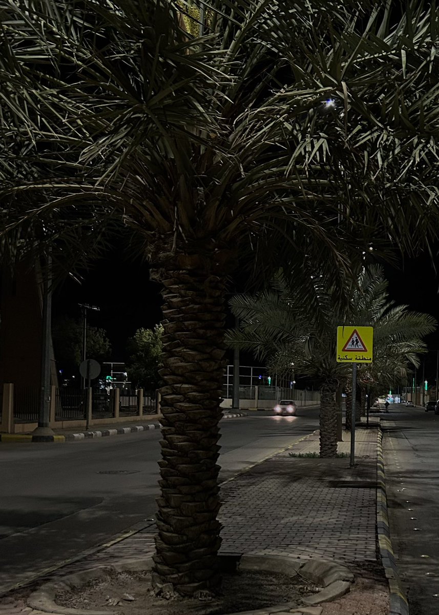 سارَّة المبارك tweet media