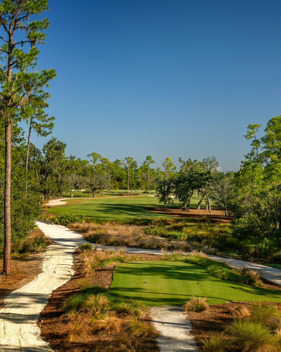 Senior PGA Champ tweet media