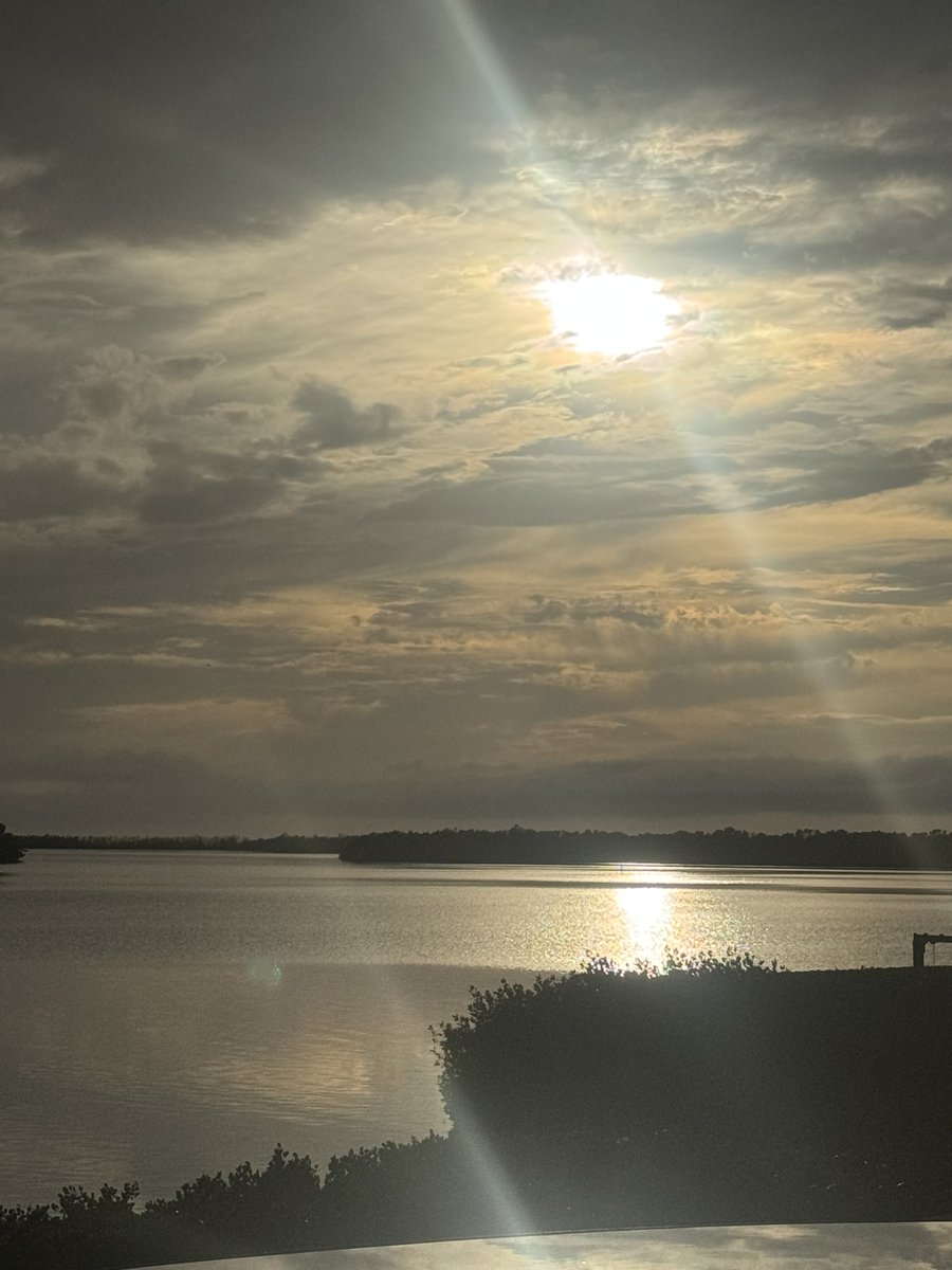 Gary Cardone tweet media