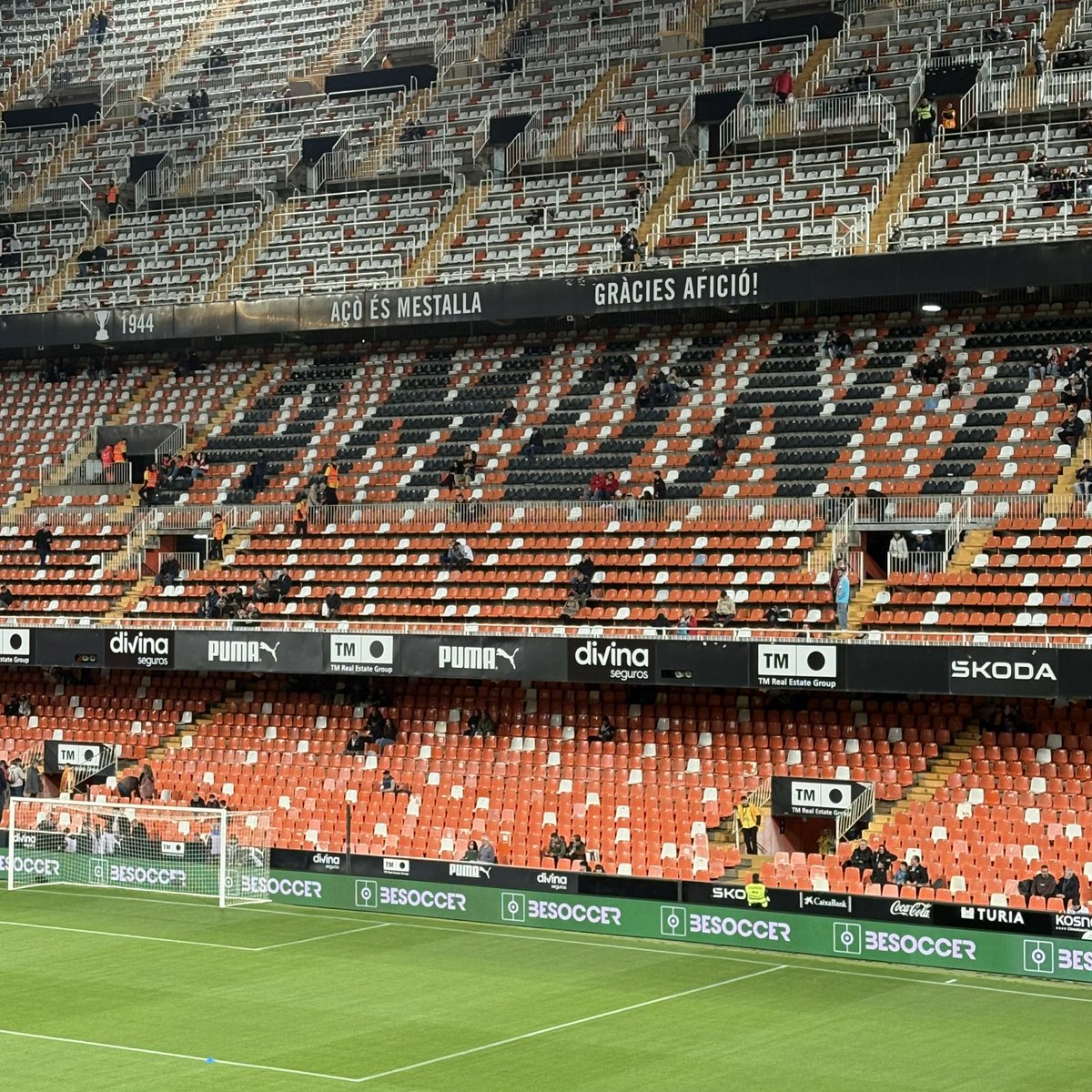 Chris Sharp tweet media