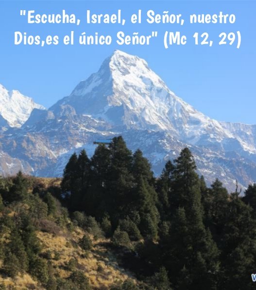 "Shema Israel"... es una advertencia, una llamada de atención sobre aquello que posee la máxima importancia. Y eso que es lo más importante consiste en reconocer que nuestro Dios es el único Señor. 
A él y sólo a él hay que amar con todo el corazón y con todas las fuerzas.