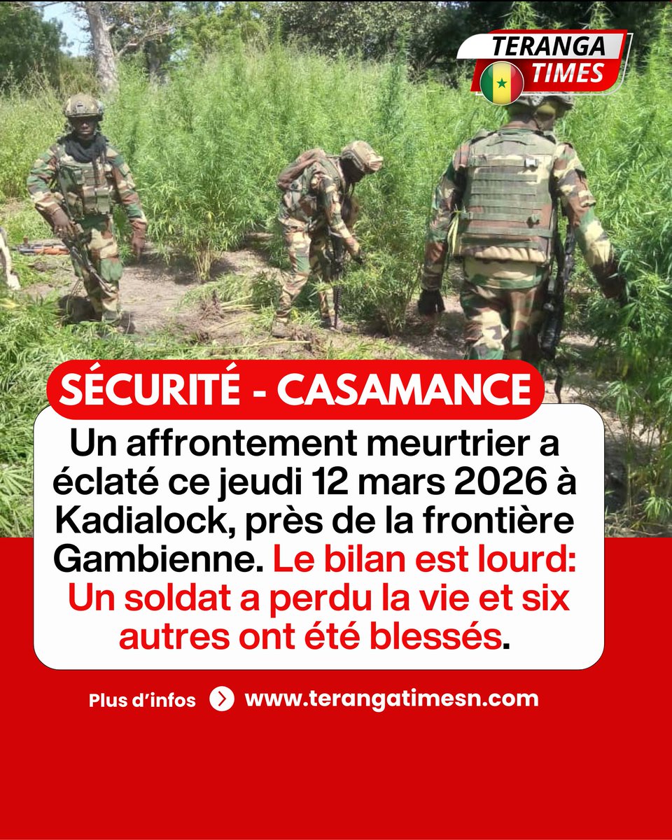 terangatimes's tweet image. 🚨 #Sénégal : Un militaire tué et 6 blessés lors d'un affrontement à Kadialock (frontière Gambie) ce matin.

L'armée menait une opération de destruction de champs de chanvre indien. Plusieurs assaillants ont été neutralisés. La traque se poursuit. 🇸🇳🎖️

#DIRPA #Kebetu #Securite