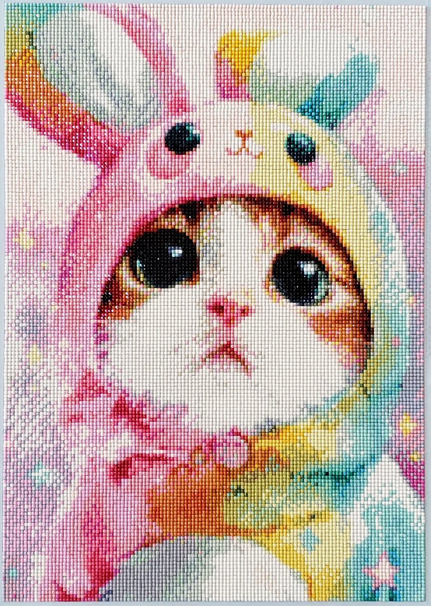 めぐhana87 tweet media