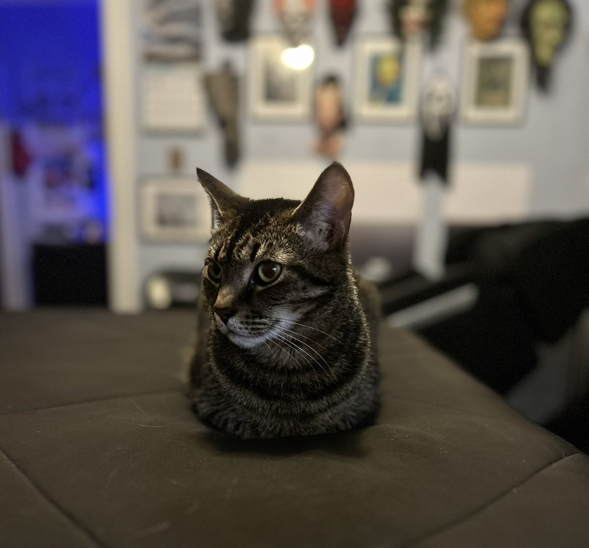 DC Outlook tweet media