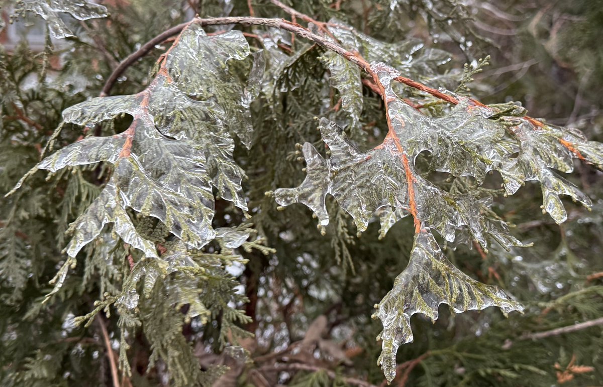 danielbeland's tweet photo. Glace 🧊 #Montreal #photos #photography #Quebec #Canada @meteomedia @weathernetwork @Monmontreal #verglas #freezingrain @MTL_Ville @Montreal https://t.co/PikbA3YS7p
