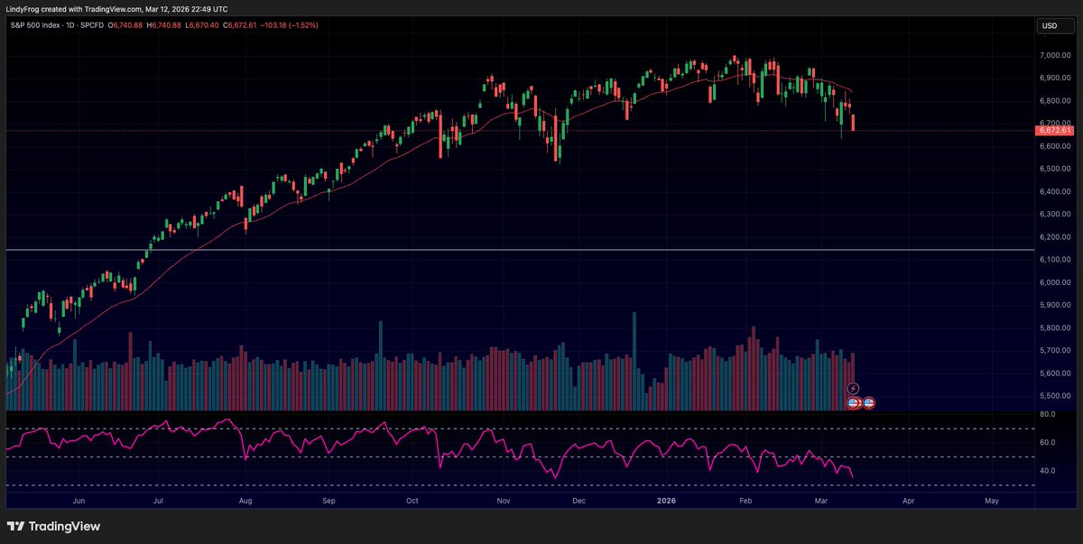 Lindy Frog tweet media