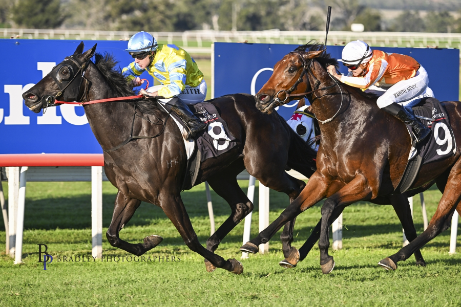 Scone Race Club tweet media
