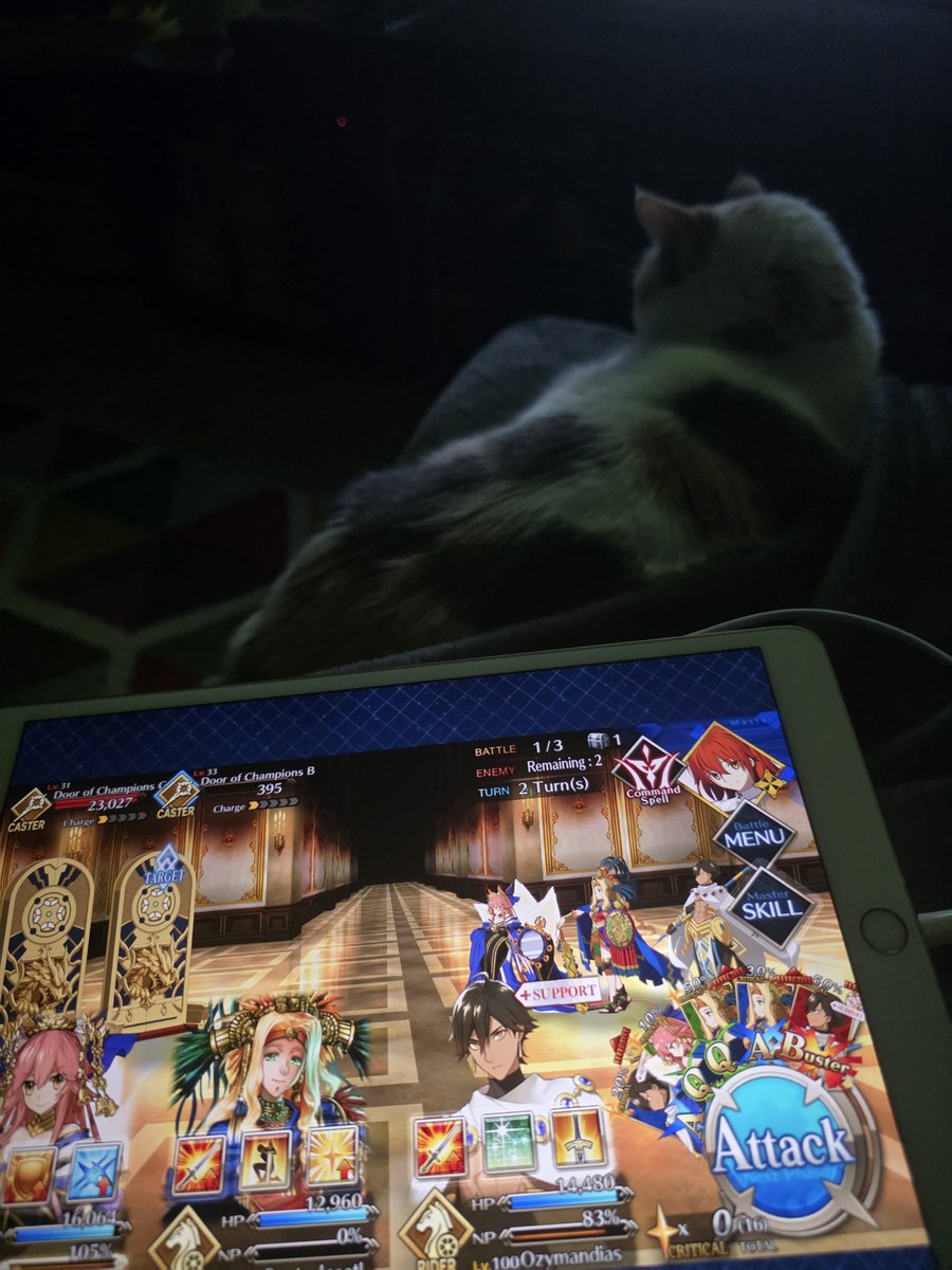 yure 🦋 tweet media