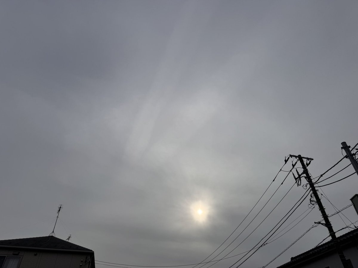 桜小路 tweet media