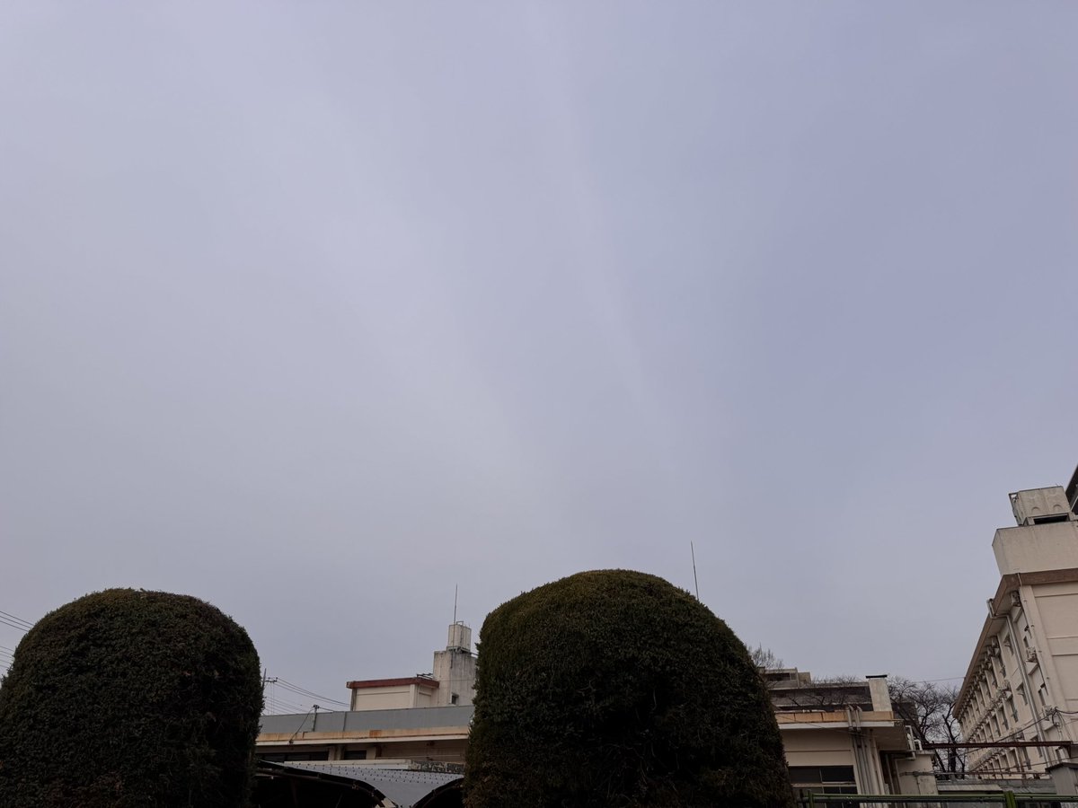 桜小路 tweet media