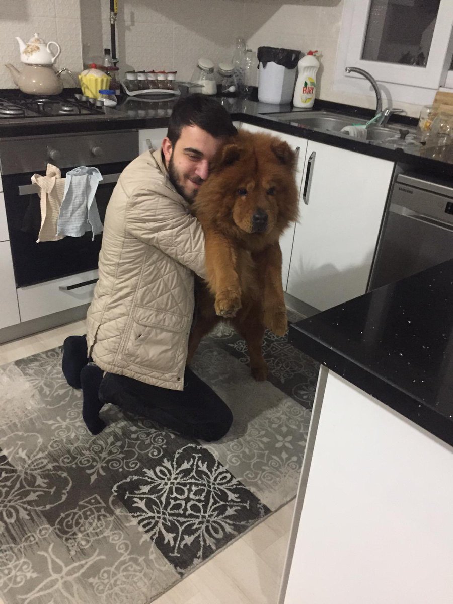Memreyy's tweet photo. Güzel uyu oğlum seni çok özlücem https://t.co/DvUzDonFG3