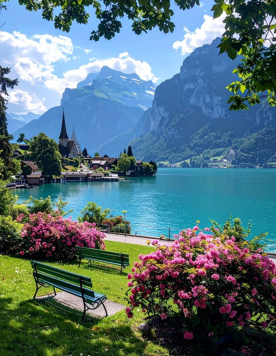 Purely Green tweet media