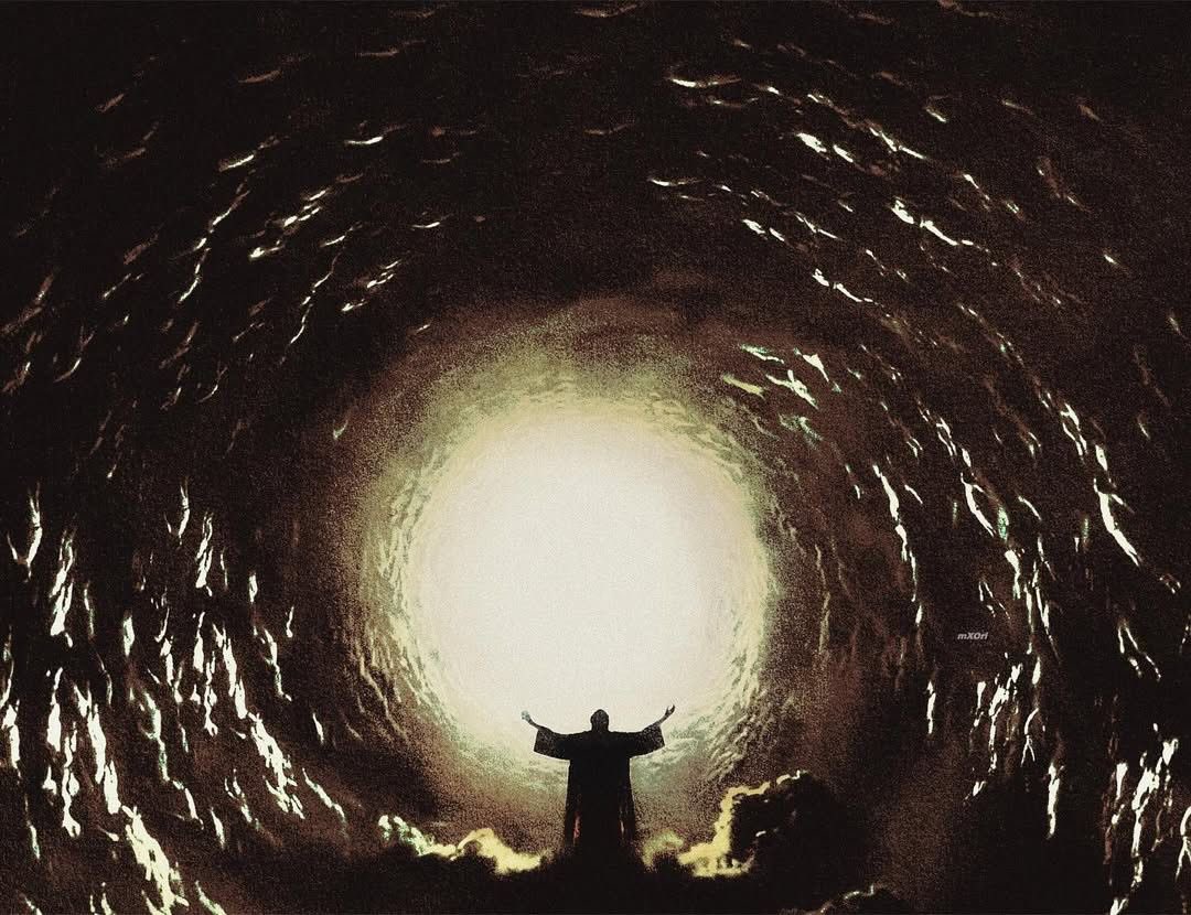 The Birds. tweet media