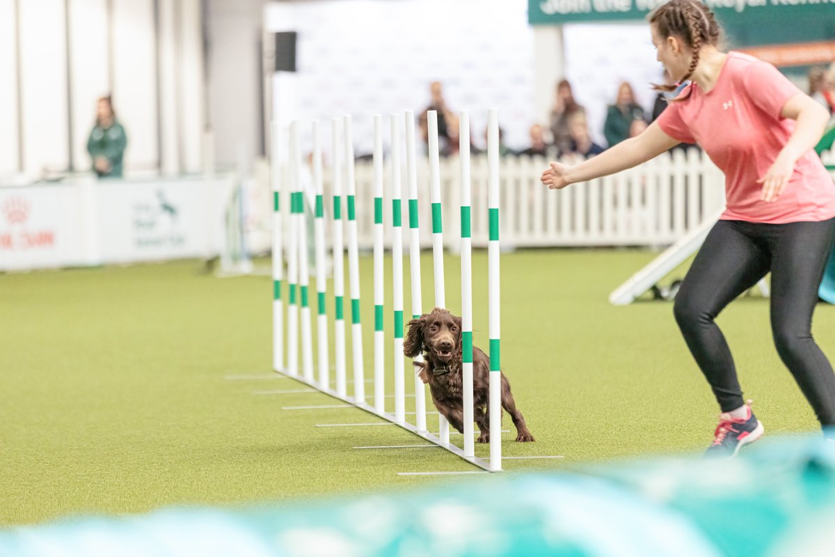 MissDPetography tweet media