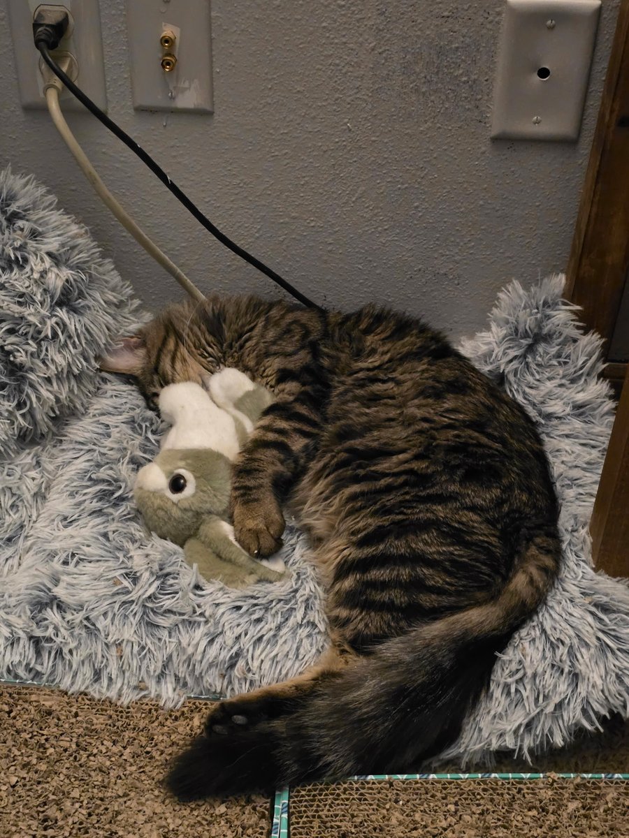 Servant of Mew tweet media