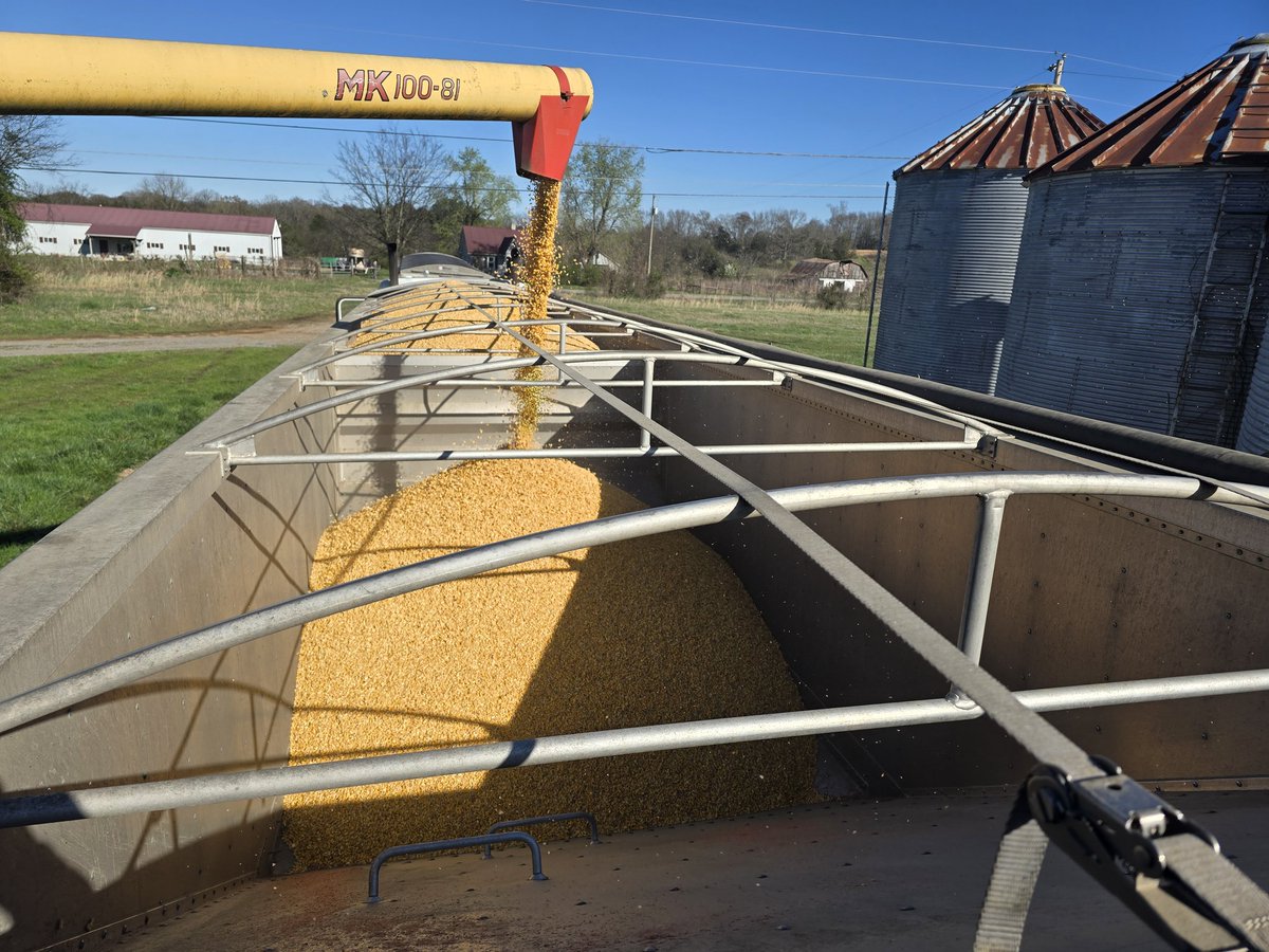 po farmer🧢 tweet media