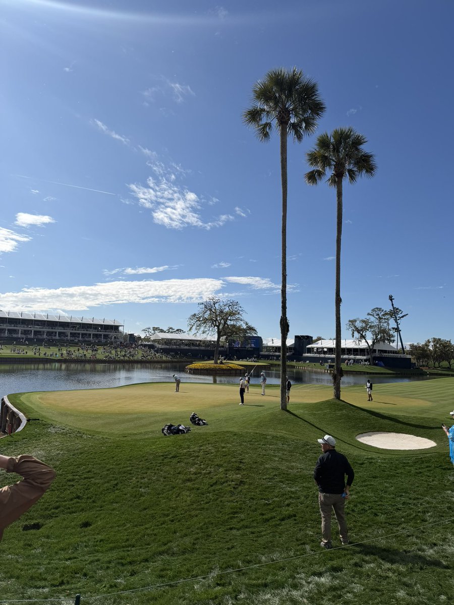 Corey Levine tweet media