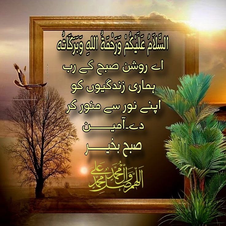 فائزہ لودھی tweet media