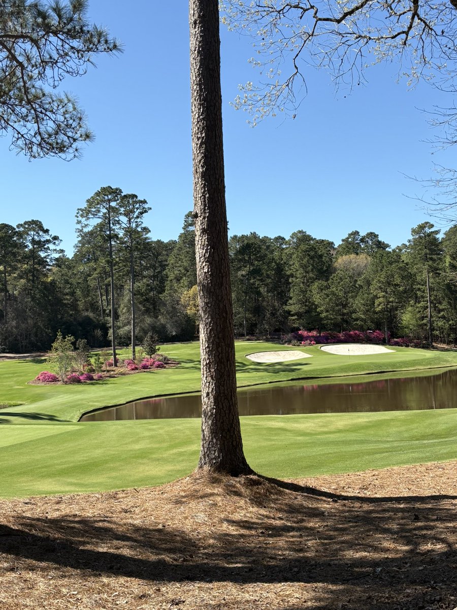 Eric Bauer tweet media