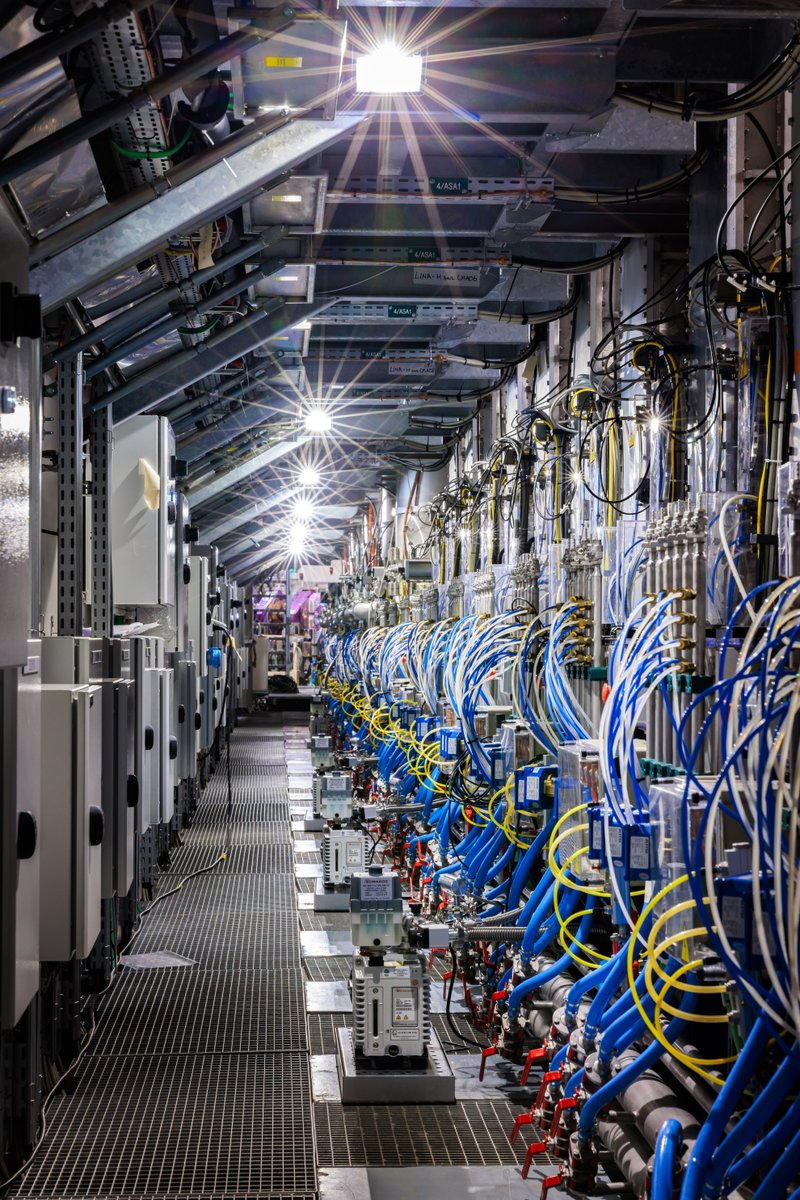 Brookhaven Lab tweet media