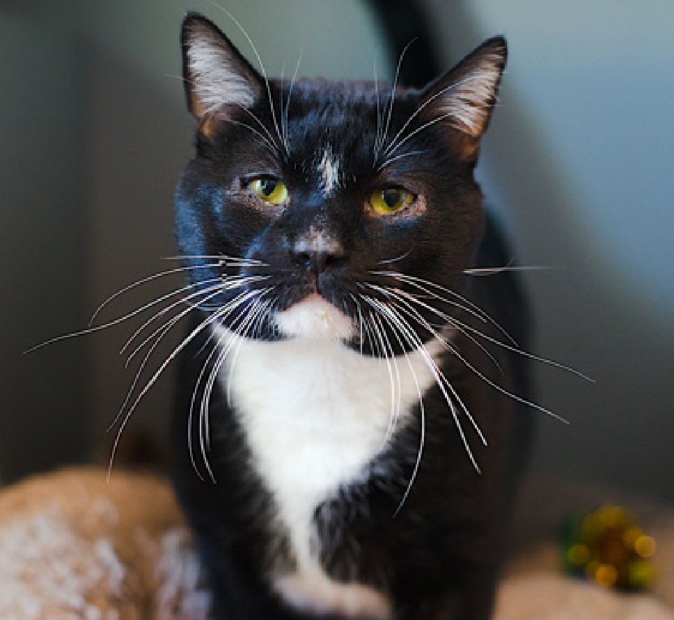 Jack5928 tweet media