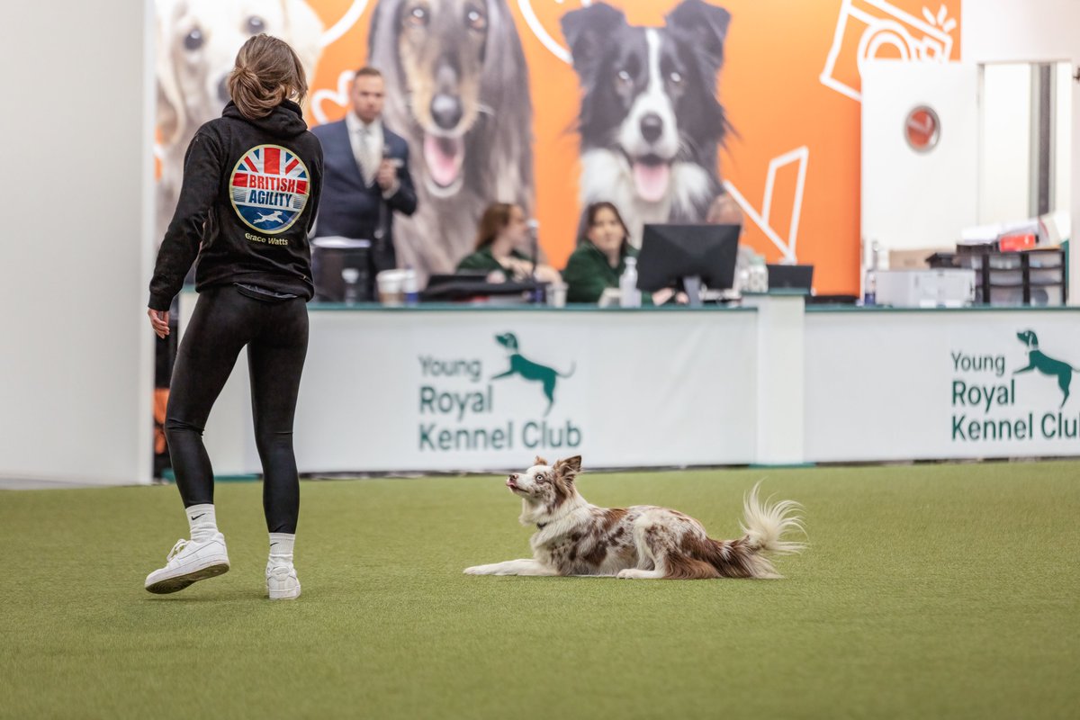 MissDPetography tweet media