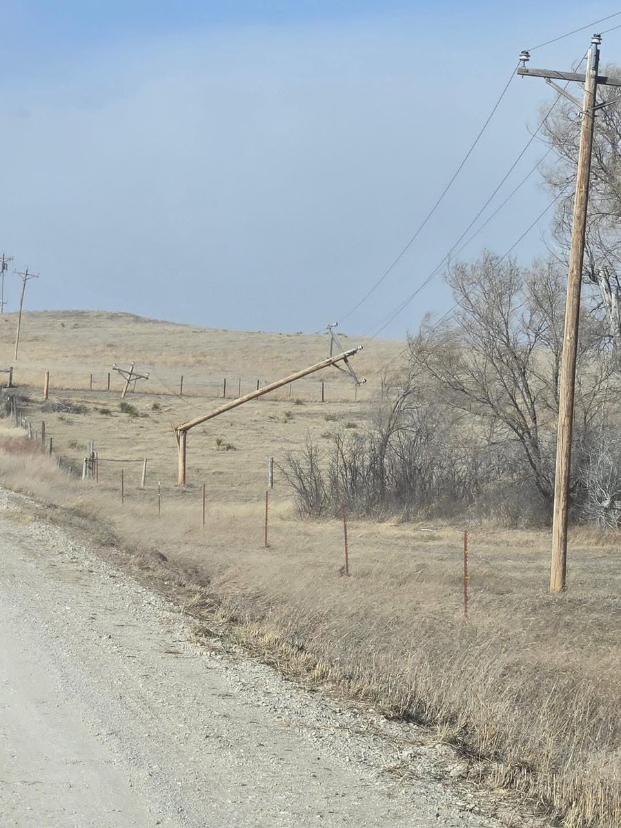 Casey Schuhmacher tweet media