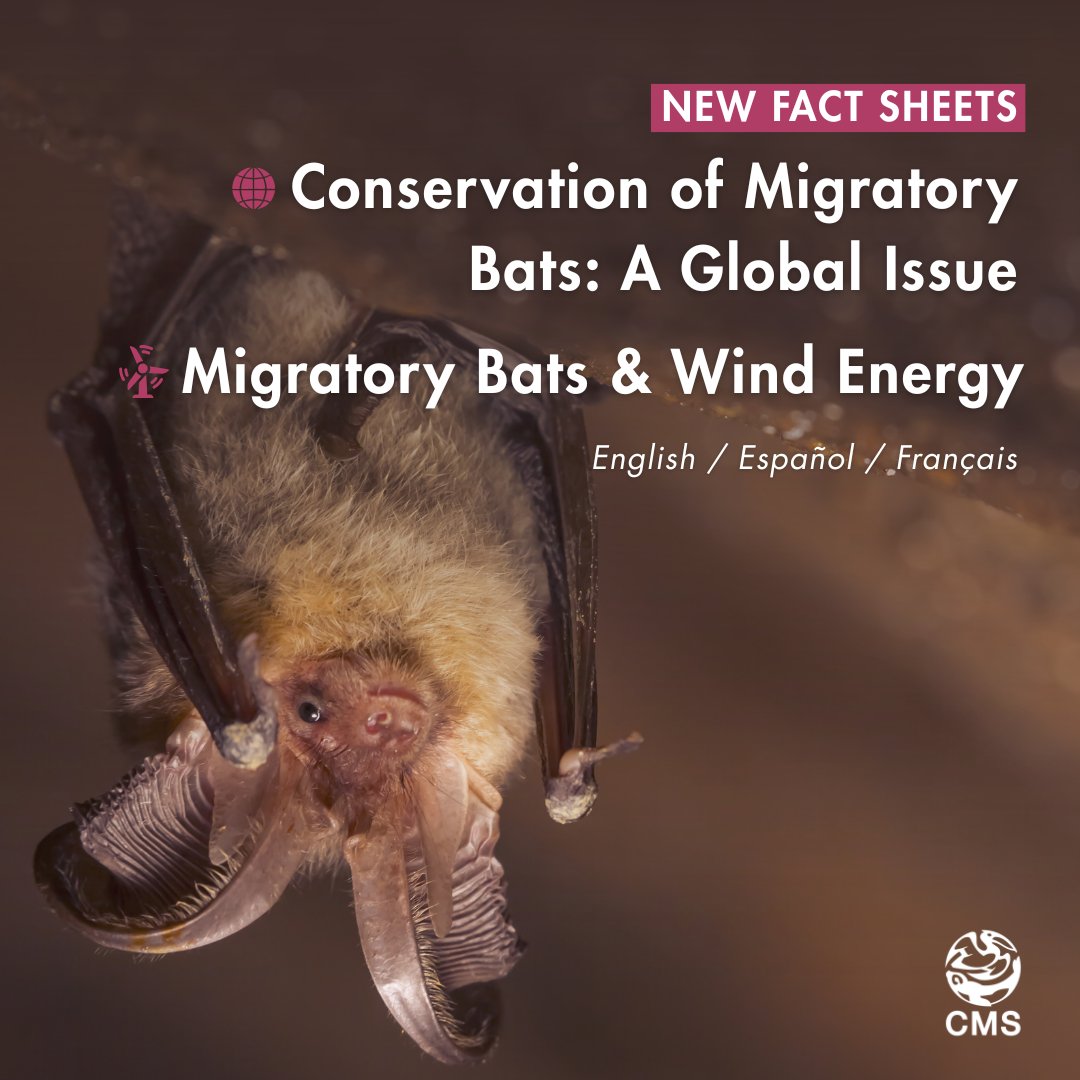 Convention on Migratory Species (CMS) tweet media