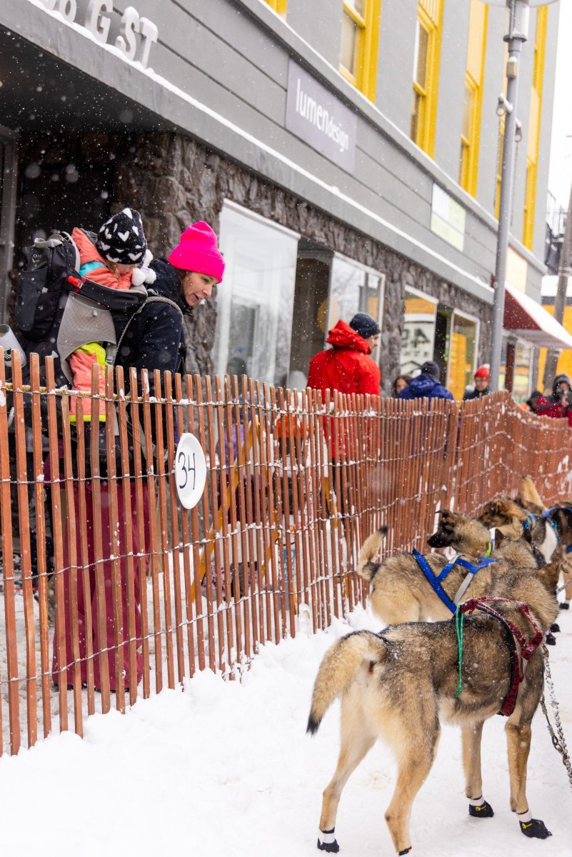 The Alaska Current tweet media