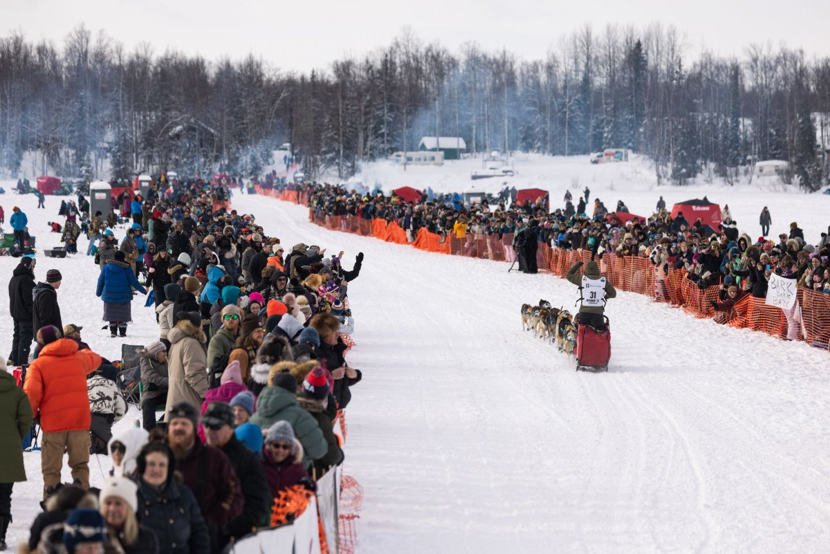 The Alaska Current tweet media