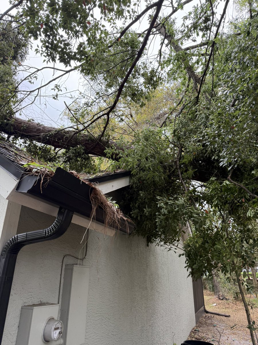 DaveInOrlando's tweet photo. So… this sucks. This is NOT how I wanted to start Spring Break!  

Everyone is ok. Charlie “The Fat Kitten” is a bit shaken but good. 

I’ll be starting an OF page tomorrow… please become “premium members!”

#DaveLuck https://t.co/NvDMhFggdz
