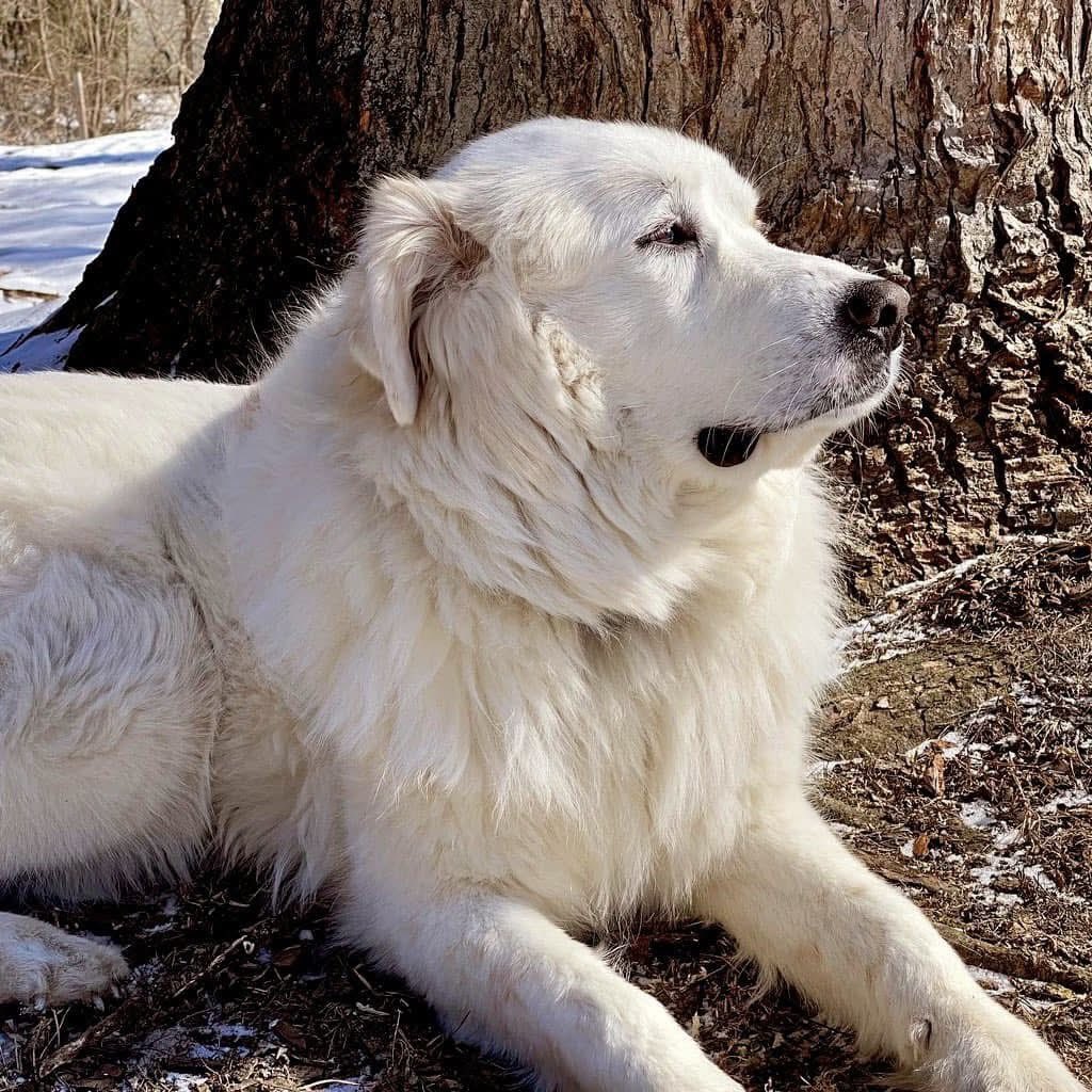 Bryan Marquard tweet media