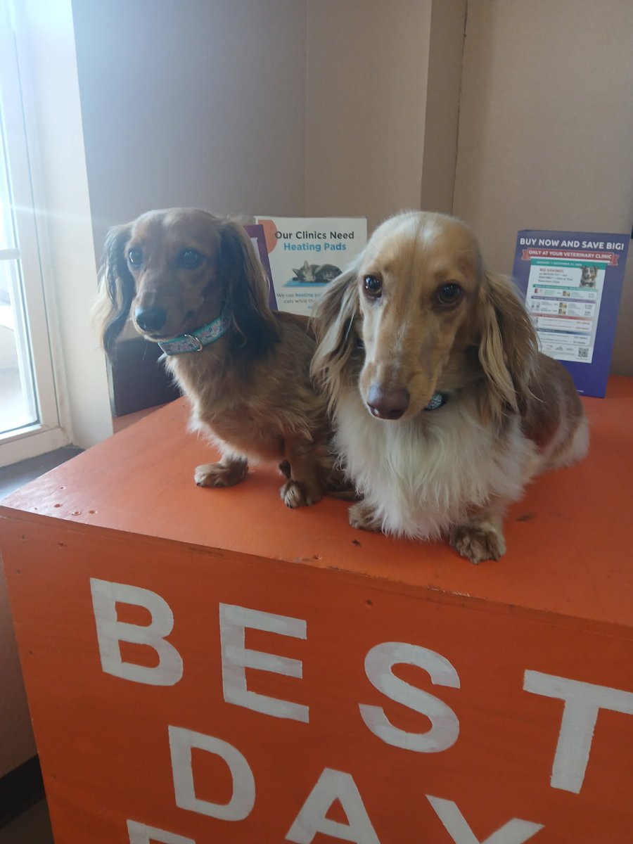 Spay Neuter Network tweet media