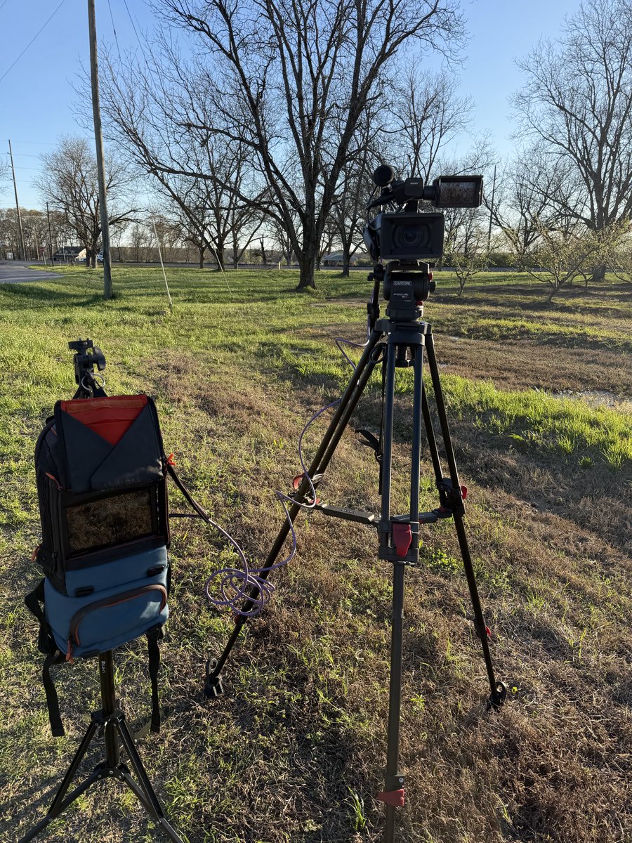 Brady Talbert tweet media