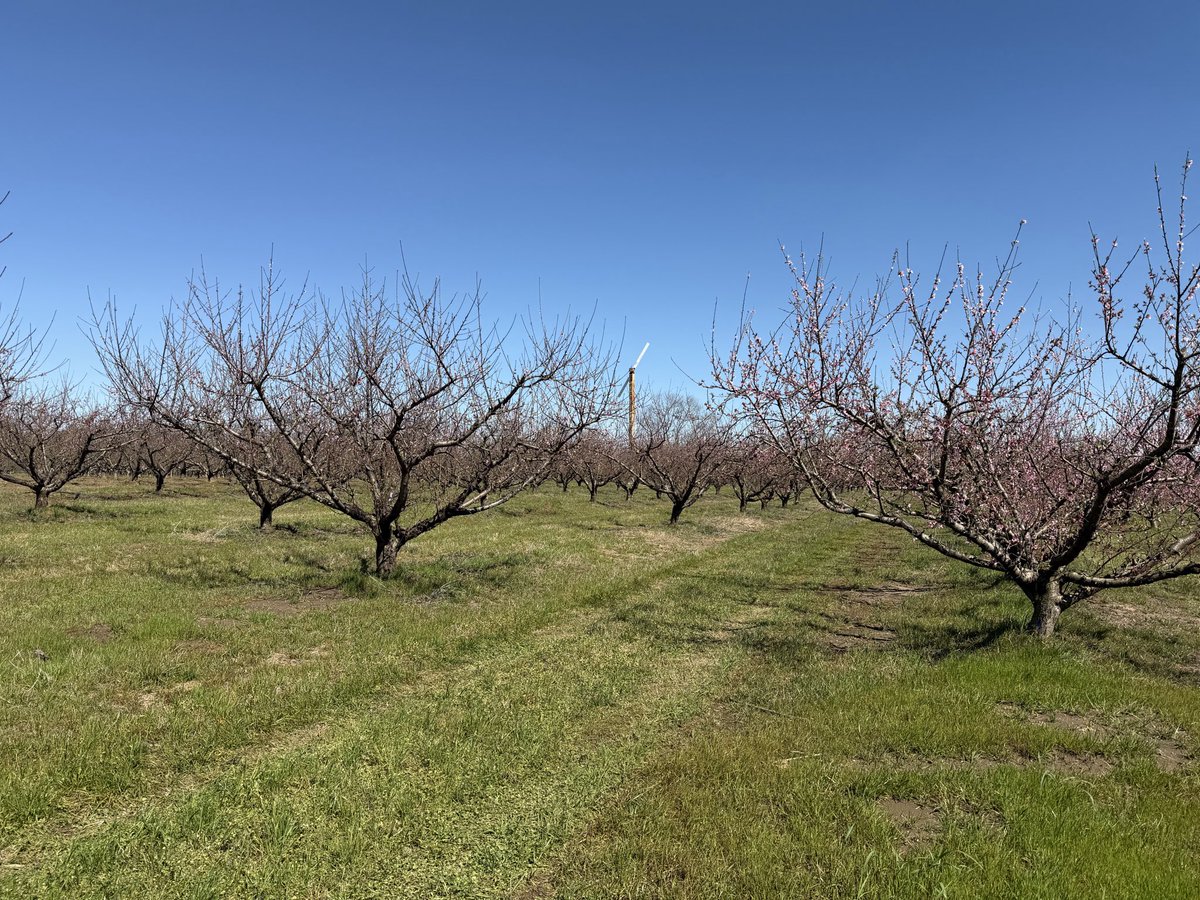 Brady Talbert tweet media