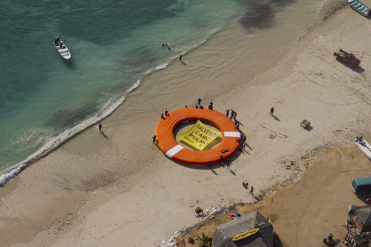 Greenpeace México tweet media