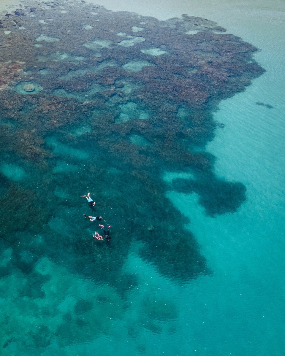 Warren Prior tweet media