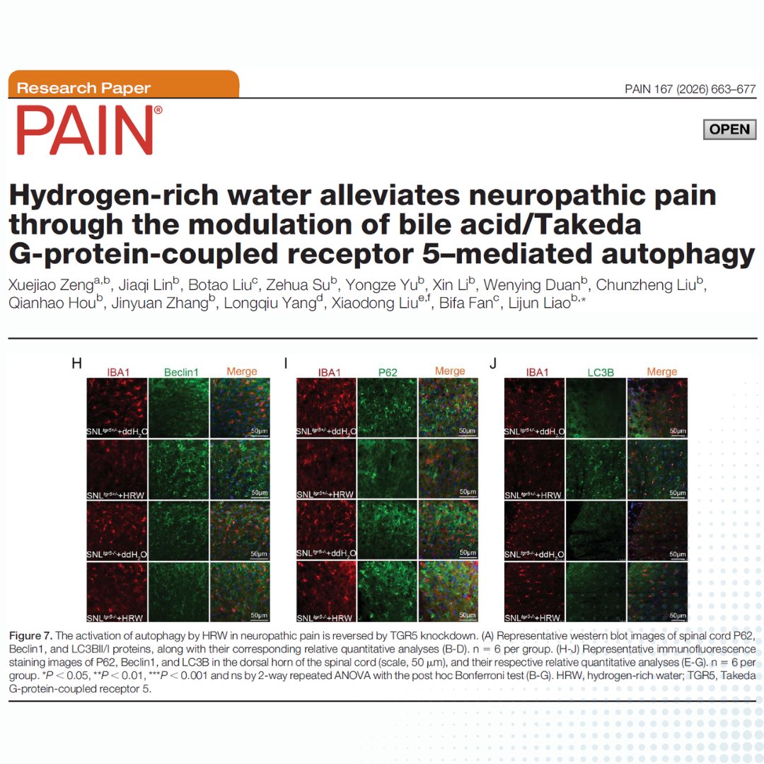 PAIN Journal tweet media