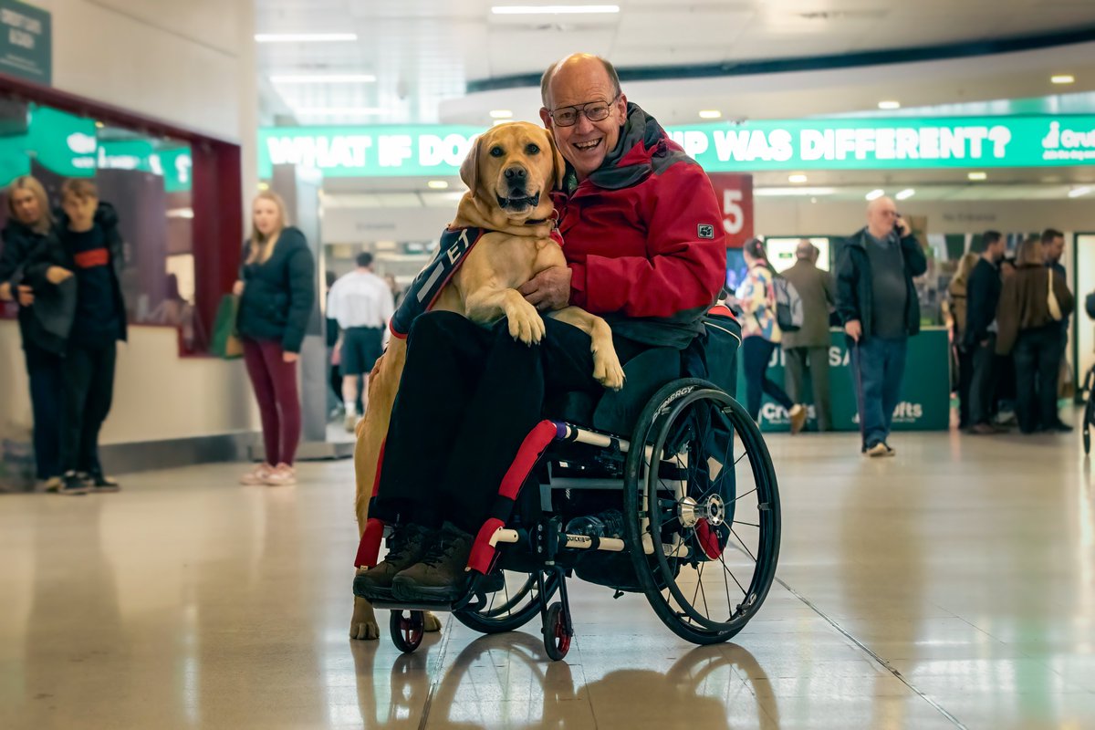 MissDPetography tweet media