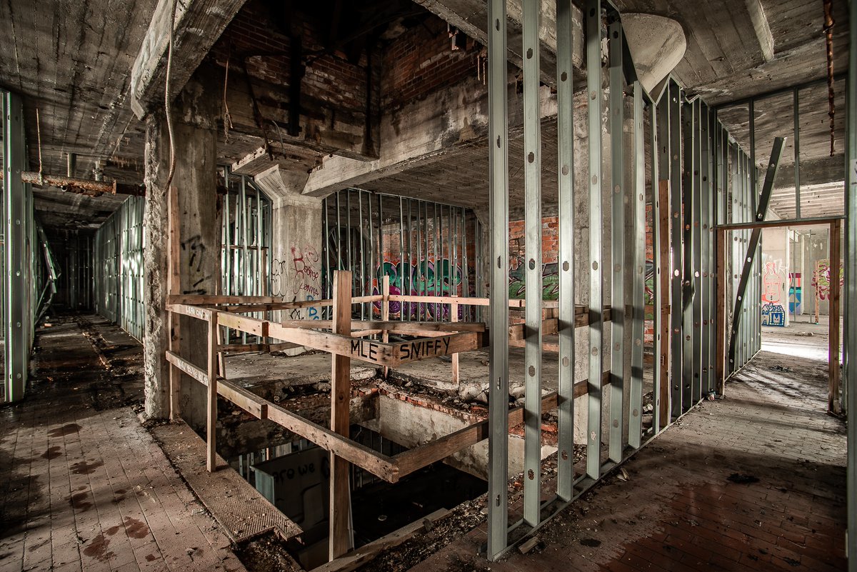 Mr. P. Explores tweet media