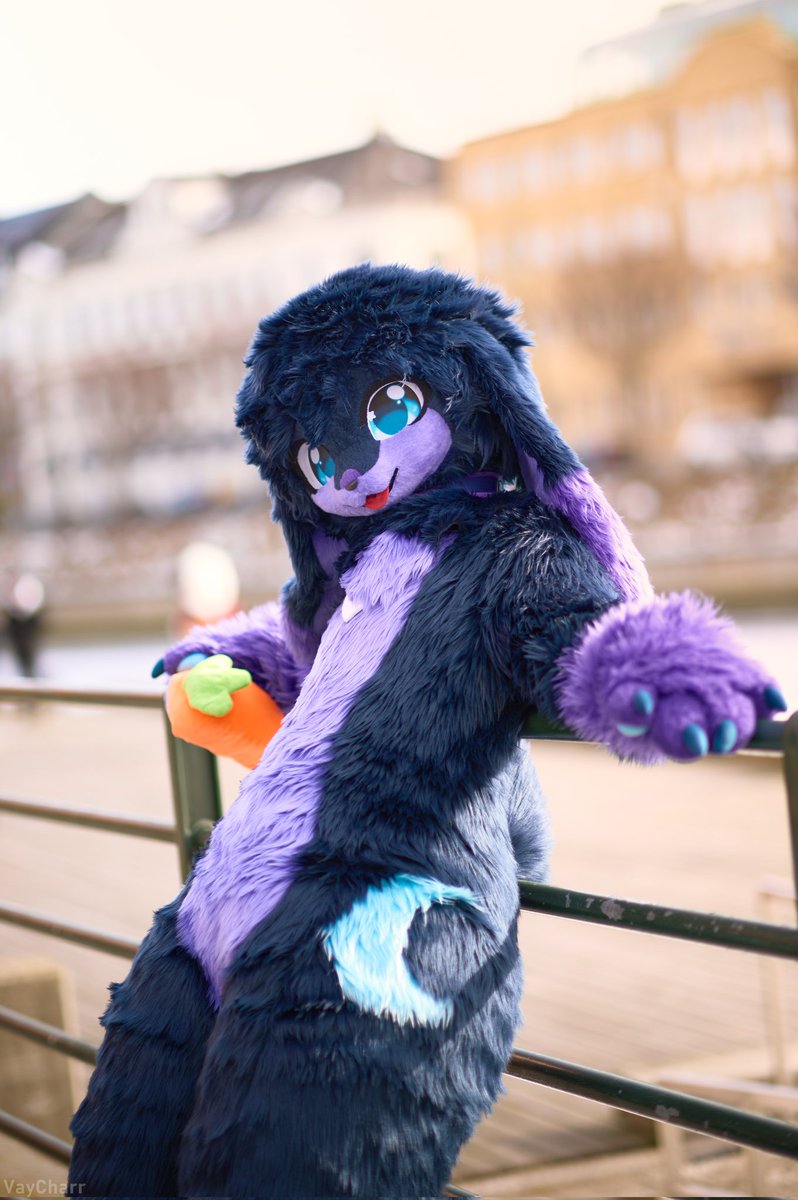 LunaryTheBun 🔜EF tweet media