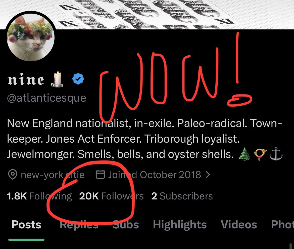 𝖓𝖎𝖓𝖊 🕯 tweet media