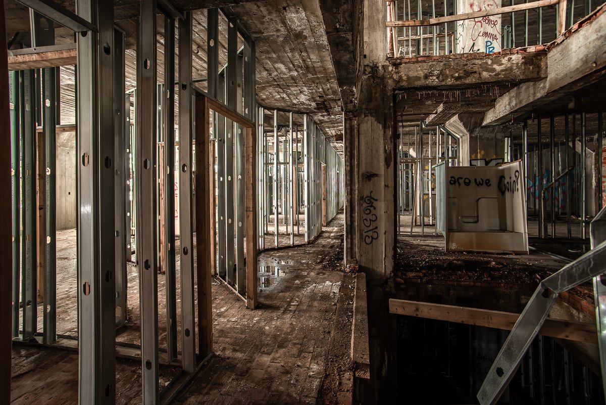 Mr. P. Explores tweet media