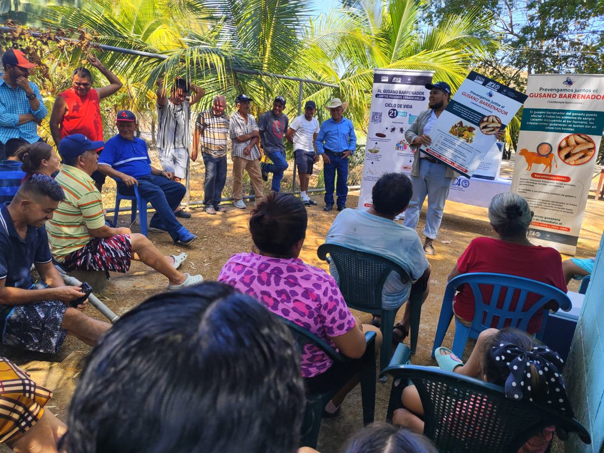 IICA - El Salvador tweet media