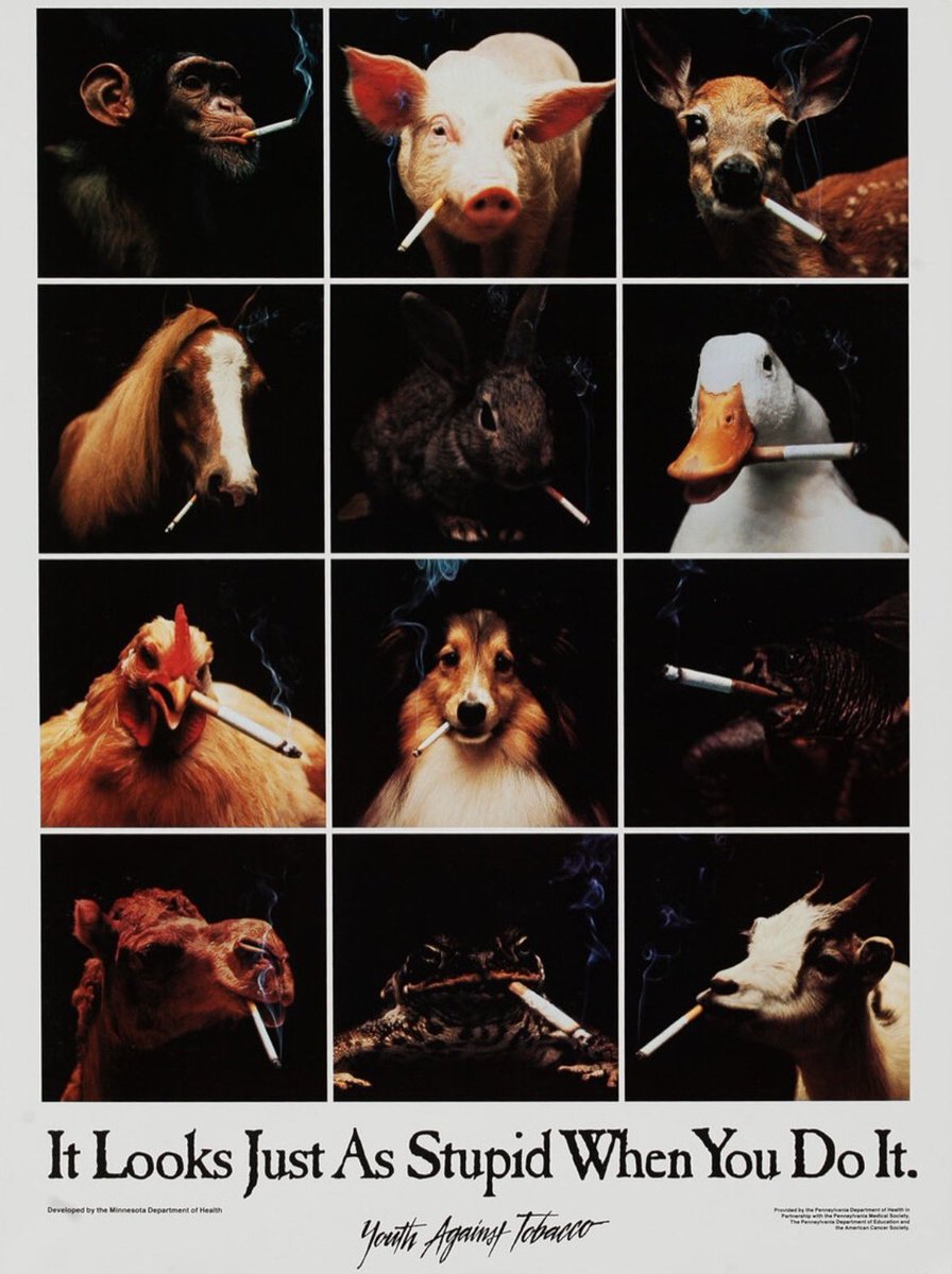 let's start over tweet media