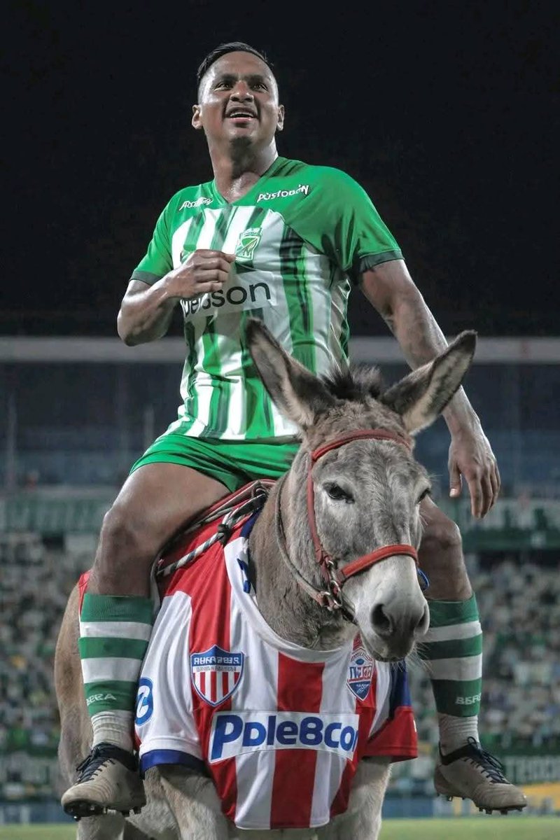 jhorks's tweet photo. @eltiowin Busca un Burro y Montalo pa que no se te olvide https://t.co/YAHYbjM31z