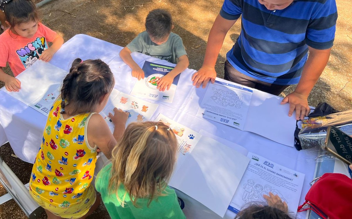 IICA - El Salvador tweet media